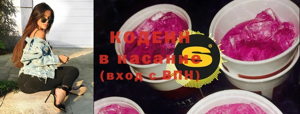 прущие грибы Гусев